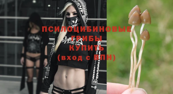 прущий лед Алексеевка
