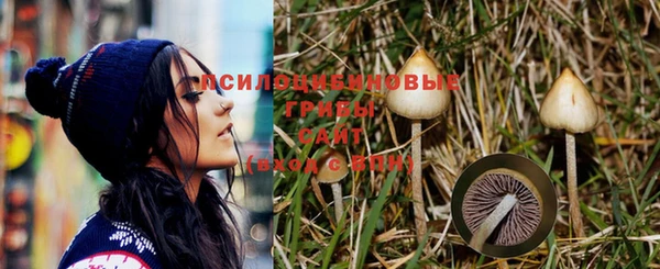 хмурый Алексин