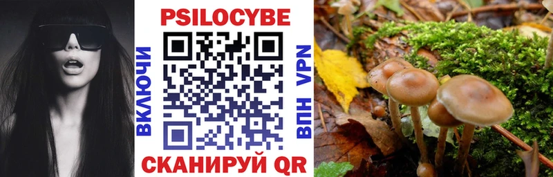 mega ссылка  Катав-Ивановск  Псилоцибиновые грибы GOLDEN TEACHER  наркотики 